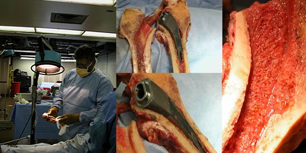 additional-cadaver-studies-img