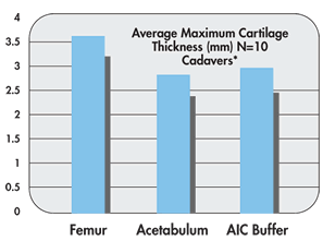 average-maximum-cartilage-i-img